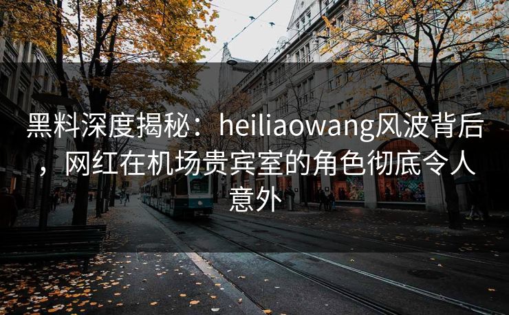 黑料深度揭秘：heiliaowang风波背后，网红在机场贵宾室的角色彻底令人意外